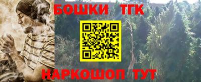 индика Рыбинск