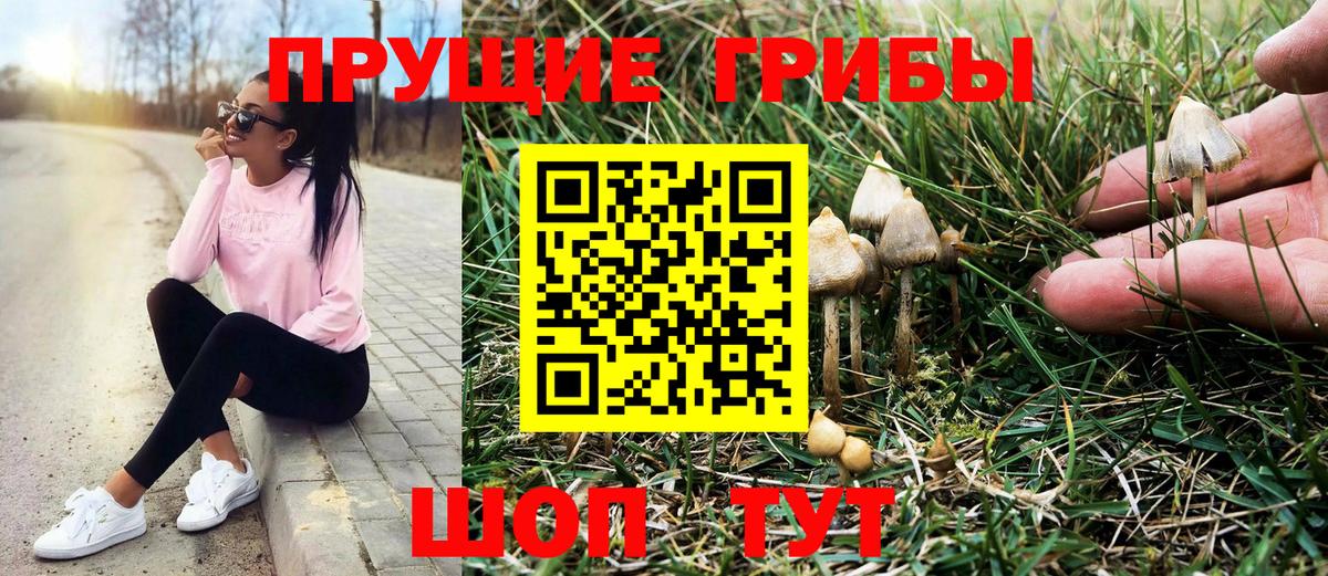 Дальнереченск  Галлюциногенные грибы мицелий  Вход с VPN 